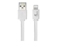 Xtech - Cable Lightning - USB macho a Lightning macho