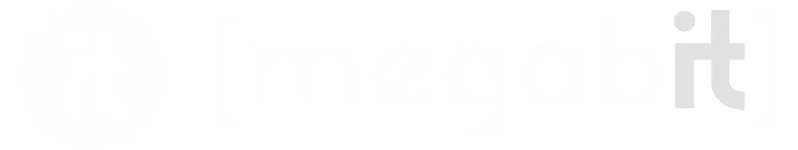 [megabit]